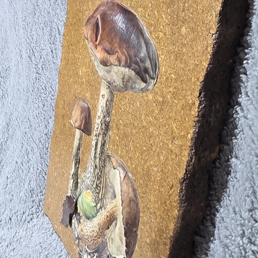 Vintage 3D Mushroom Art On Wood Base Wall Hanging Fairy Whimsy Hippie Decor